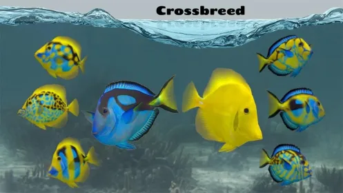 Screenshot Fish Farm 2