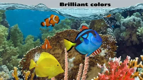 Screenshot Fish Farm 2
