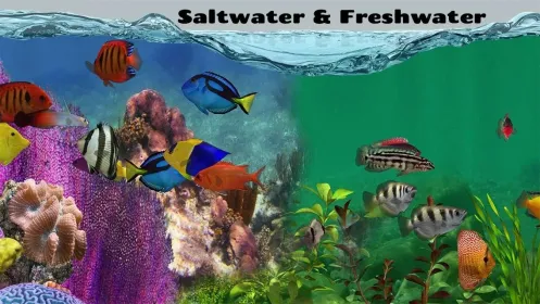 Screenshot Fish Farm 2