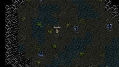 Screenshot 9th Dawn RPG
