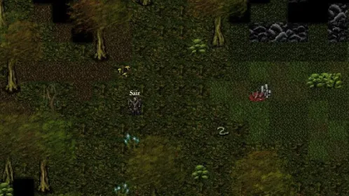 Screenshot 9th Dawn RPG