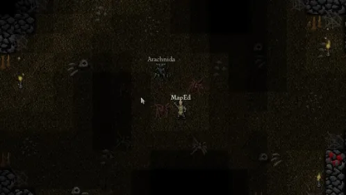 Screenshot 9th Dawn RPG