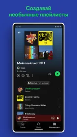 Screenshot Spotify Premium