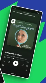 Screenshot Spotify Premium