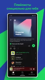 Screenshot Spotify Premium