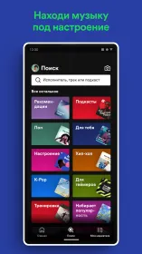 Screenshot Spotify Premium