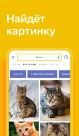 Screenshot Яндекс Старт