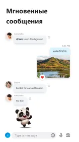 Screenshot Skype